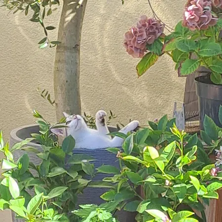 Gnaden -und Saale Wittgenstein