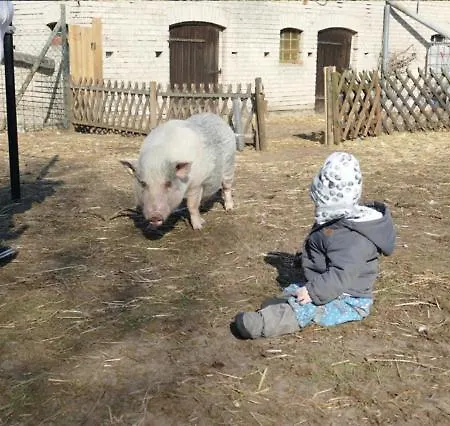 公寓 Gnaden -und Saale Wittgenstein *