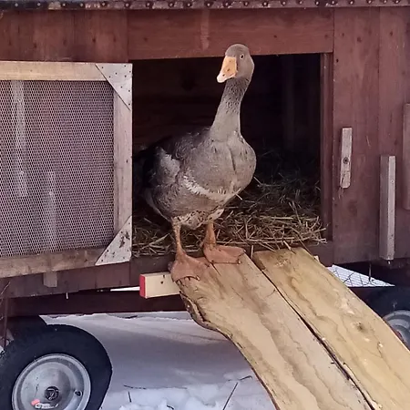 公寓 Gnaden -und Saale Wittgenstein