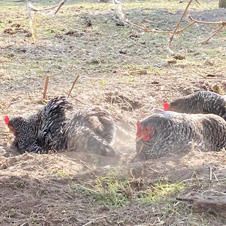 公寓 Gnaden -und Saale Wittgenstein