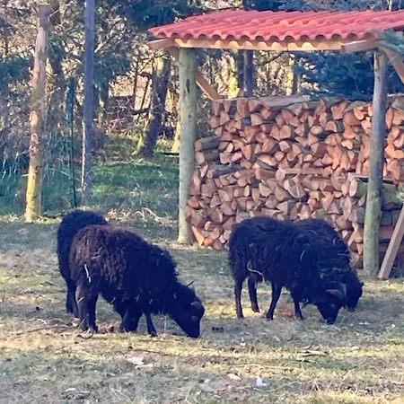 公寓 Gnaden -und Saale Wittgenstein