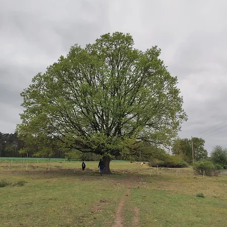 公寓 Gnaden -und Saale Wittgenstein