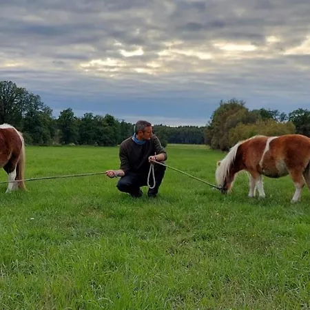 Gnaden -und Saale Wittgenstein 公寓