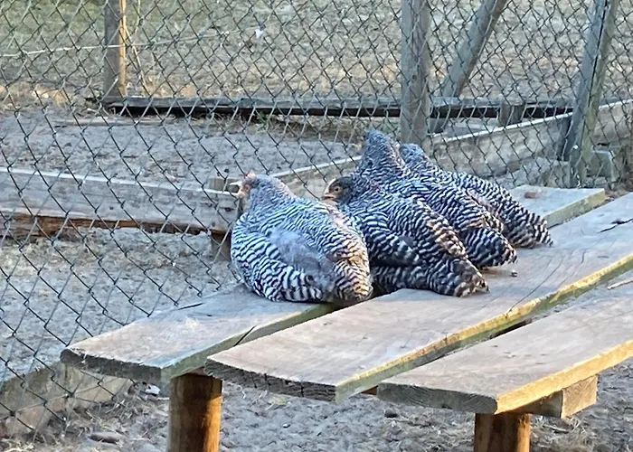 Gnaden -und Saale Wittgenstein Apartment