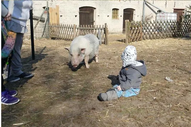 Apartment Gnaden -und Saale Wittgenstein *