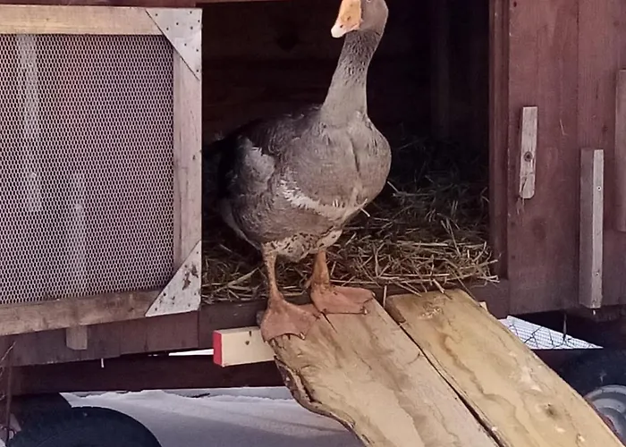 Apartment Gnaden -und Saale Wittgenstein