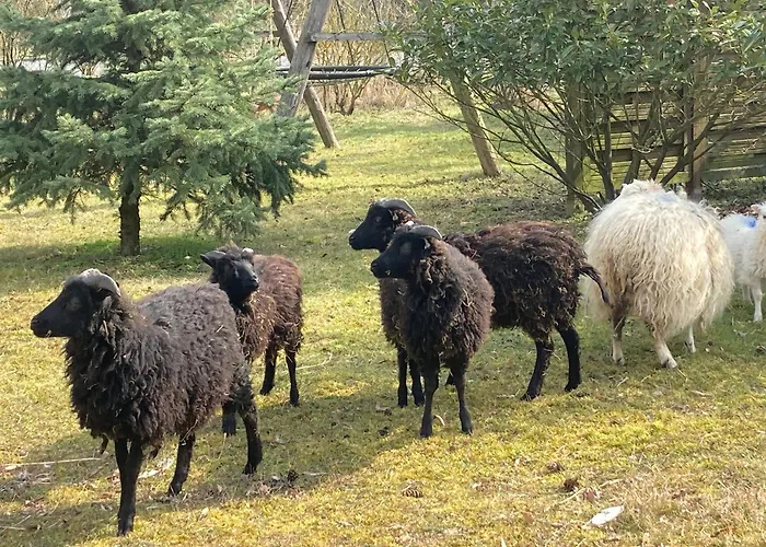 Apartment Gnaden -und Saale Wittgenstein