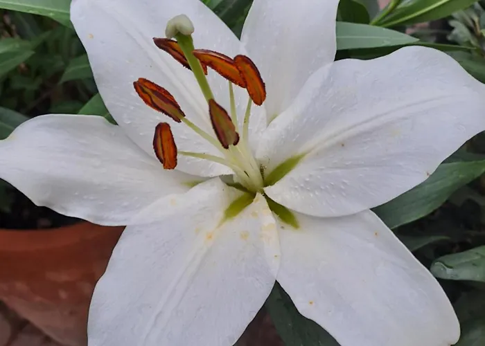 Apartment Gnaden -und Saale Wittgenstein Schorstedt