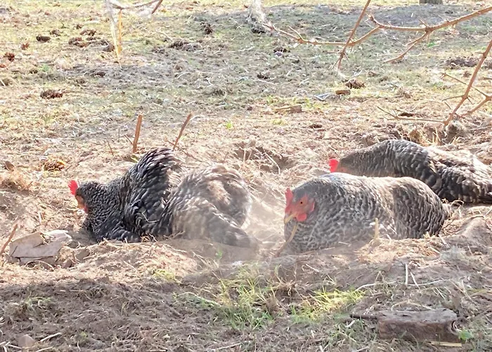 Apartment Gnaden -und Saale Wittgenstein