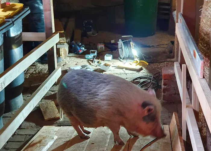 Apartment Gnaden -und Saale Wittgenstein *