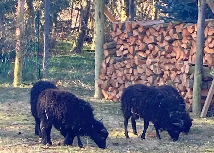 Apartment Gnaden -und Saale Wittgenstein