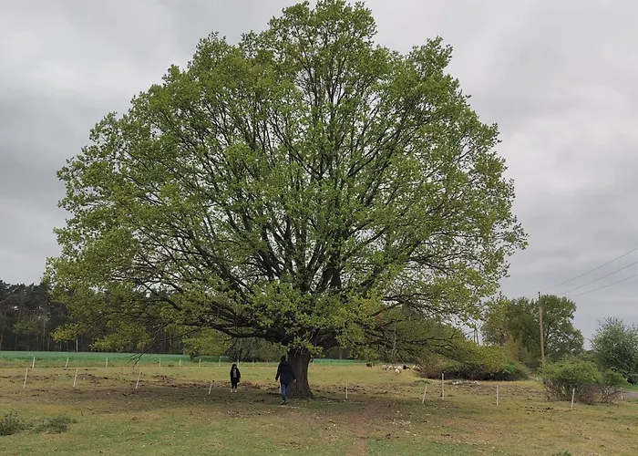 Apartment Gnaden -und Saale Wittgenstein