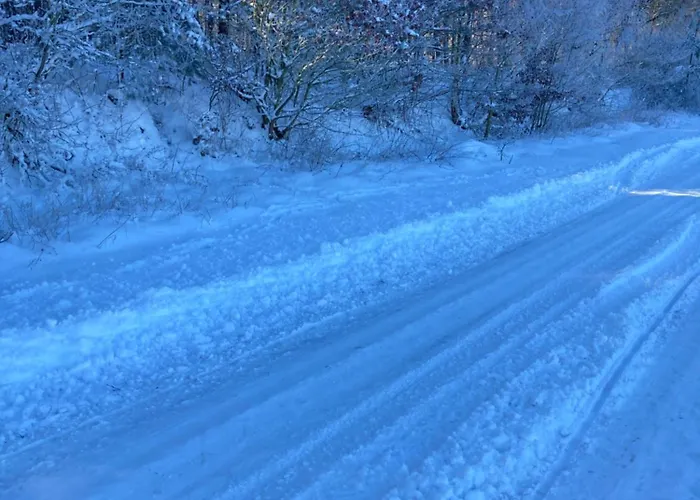 Gnaden -und Saale Wittgenstein Apartment