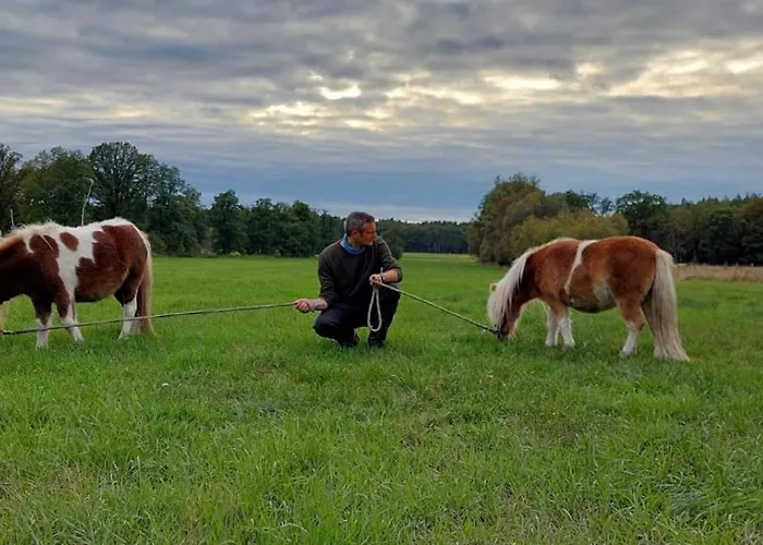 Gnaden -und Saale Wittgenstein Apartment